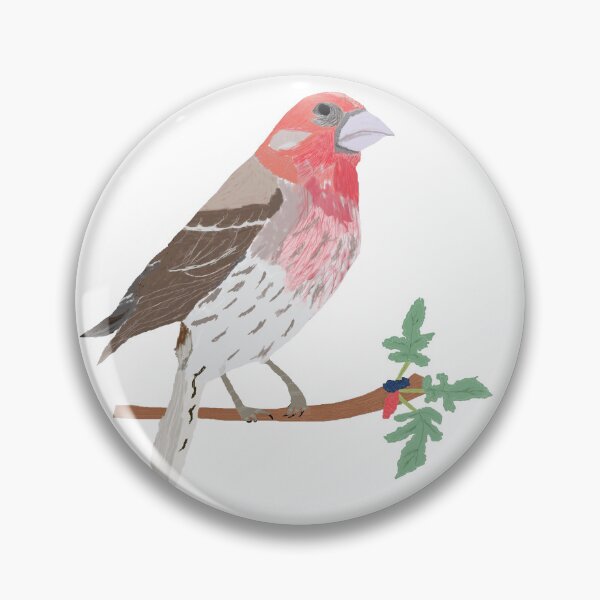 Item preview, Painted House Finch designed and sold by MangoTangoPaint.