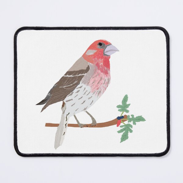 Item preview, Painted House Finch designed and sold by MangoTangoPaint.