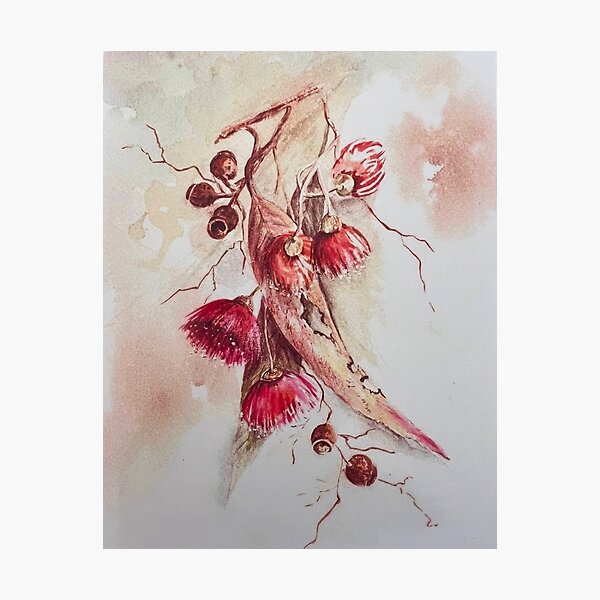 Item preview, Eucalypt Flowers designed and sold by HelenSpicerArt.