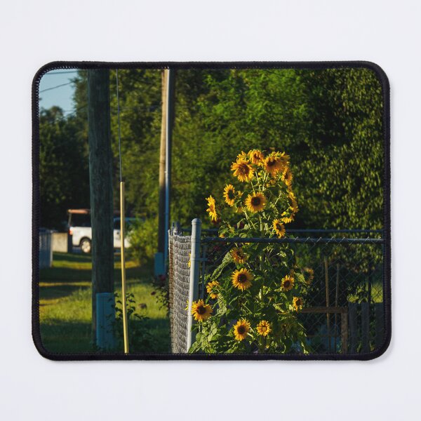 Item preview, Backyard Sunflowers designed and sold by TheeForestFox Shop.