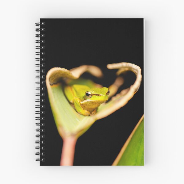 Item preview, Wallum sedge frog designed and sold by robdanimalphotography.