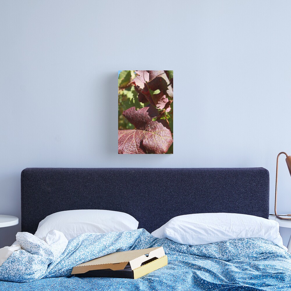 Autumn leaves Canvas Print