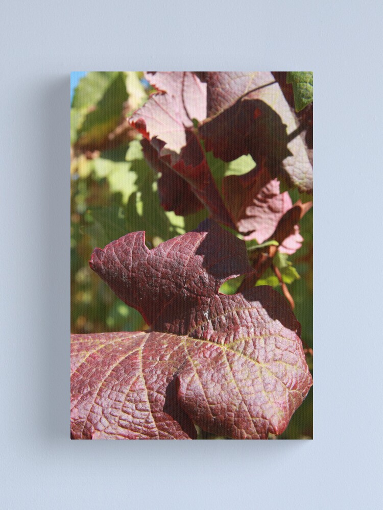 Alternate view of Autumn leaves Canvas Print