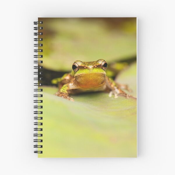 Item preview, Wallum sedge frog designed and sold by robdanimalphotography.