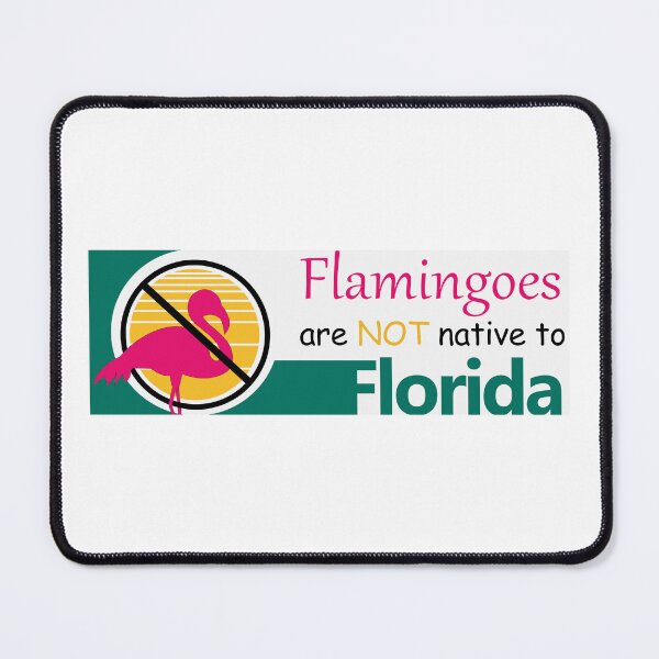Item preview, Flamingoes are NOT native to Florida designed and sold by timmywasframed.