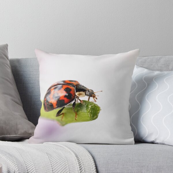 Item preview, On the Edge designed and sold by Tracy Friesen.