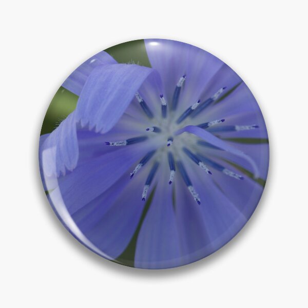 Item preview, Chicory Flower (Cichorium Endivia) designed and sold by Kim Chi Thai.