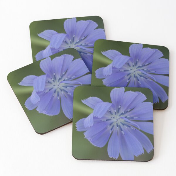 Item preview, Chicory Flower (Cichorium Endivia) designed and sold by Kim Chi Thai.