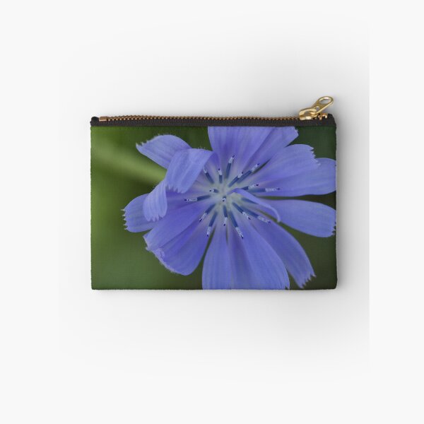 Item preview, Chicory Flower (Cichorium Endivia) designed and sold by Kim Chi Thai.