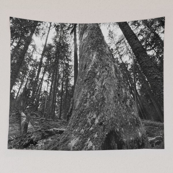 Item preview, The Old One. Seitseminen 2024 bw designed and sold by Jouko Lehto Photography.