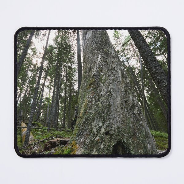 Item preview, The Old One. Seitseminen 2024 designed and sold by Jouko Lehto Photography.
