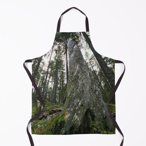 Item preview, The Old One. Seitseminen 2024 designed and sold by Jouko Lehto Photography.