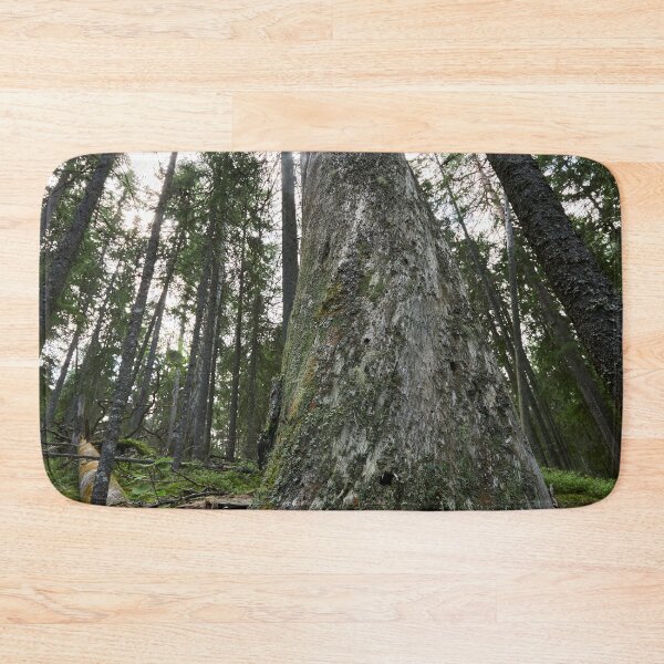 Item preview, The Old One. Seitseminen 2024 designed and sold by Jouko Lehto Photography.