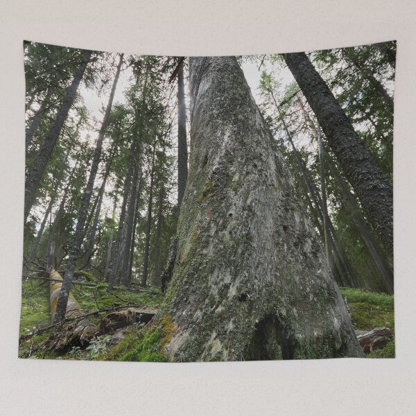 Item preview, The Old One. Seitseminen 2024 designed and sold by Jouko Lehto Photography.