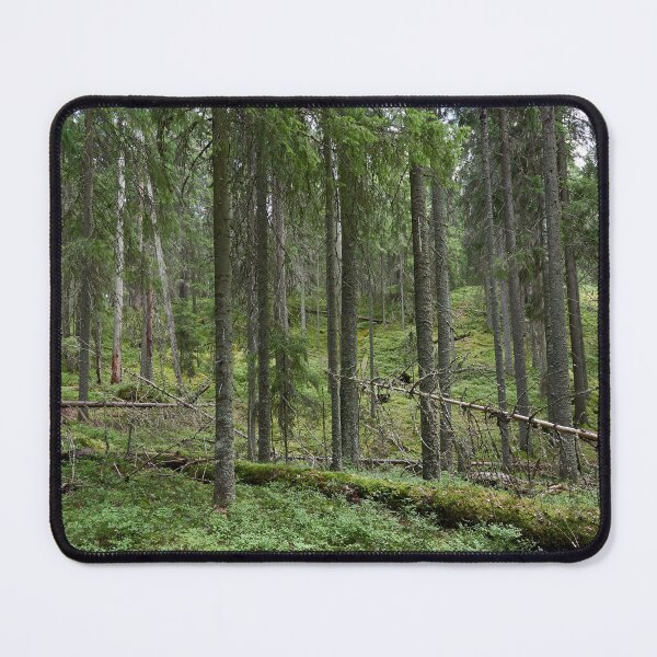 Item preview, Multiharju. Seitseminen 2024 designed and sold by Jouko Lehto Photography.