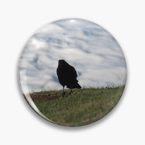Item preview, raven on the coast designed and sold by corvuspaceship.