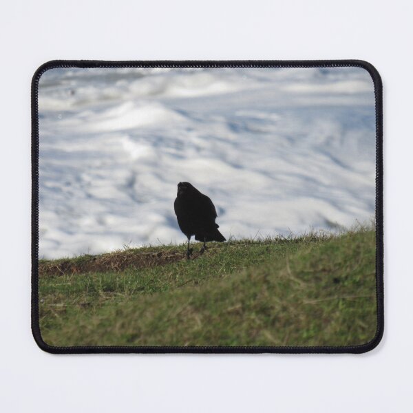 Item preview, raven on the coast designed and sold by corvuspaceship.
