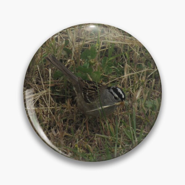 Item preview, nesting bird designed and sold by corvuspaceship.