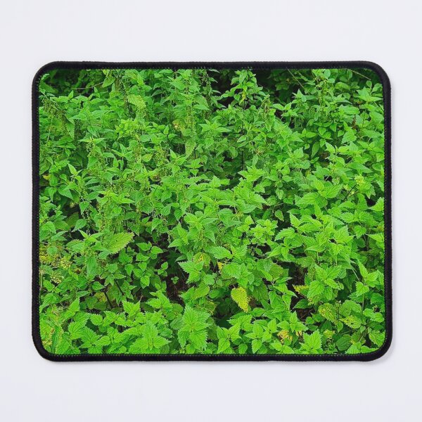 Item preview, Stinging Nettles designed and sold by bluegumleaf.