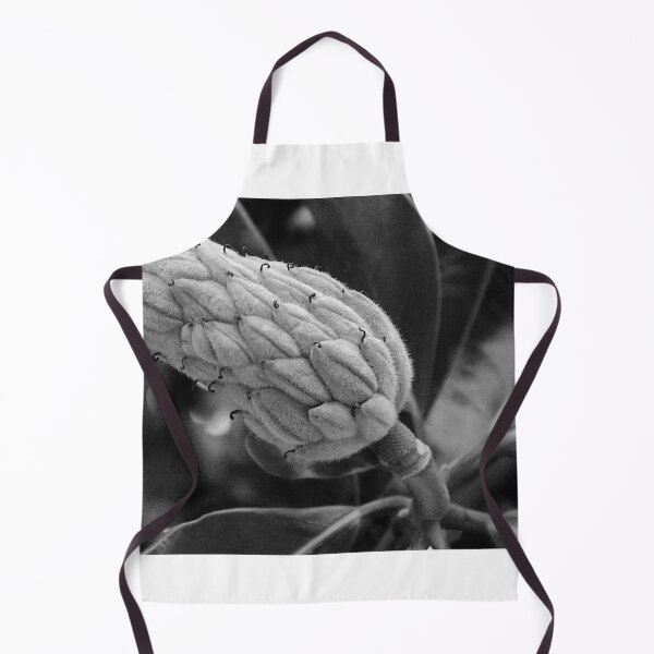 Item preview, Magnolia Tree Seed Pod Black And White designed and sold by MercerImages.