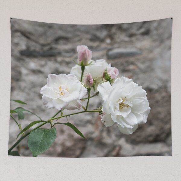 Item preview, White Rose Bunch Against Solid Stone Wall designed and sold by Georgia Mizuleva.