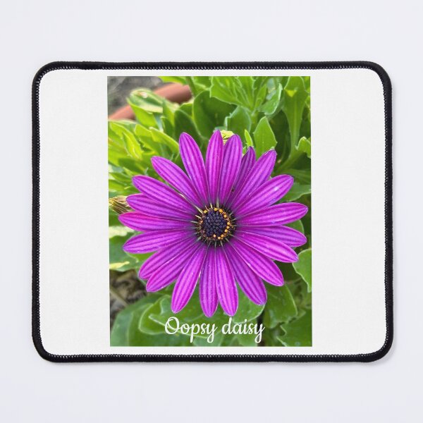 Item preview, Oopsy daisy designed and sold by AliciaSanson.