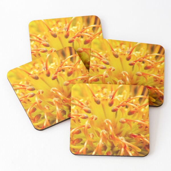 Item preview, Banksia Flower designed and sold by ptcCreative.