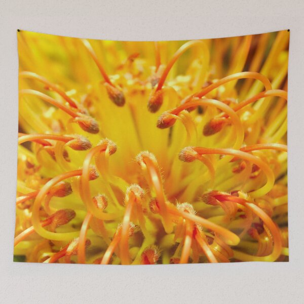 Item preview, Banksia Flower designed and sold by ptcCreative.
