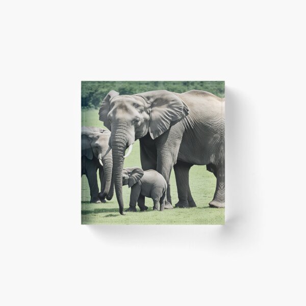 Item preview, El elefante protector designed and sold by Collection de trésors .