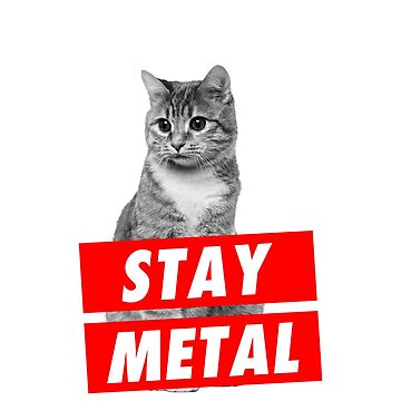 Artwork thumbnail, STAY METAL by PYHC