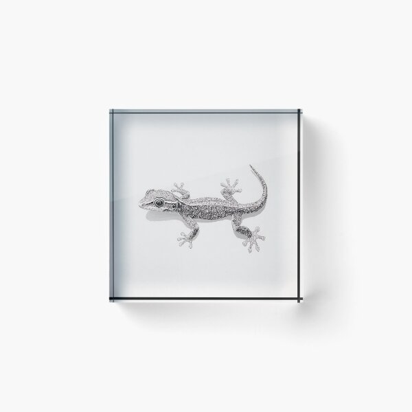 Artikelvorschau, Schwarz-weiße Eidechsen-Bleistiftzeichnung entworfen und verkauft von Pencil-Art.