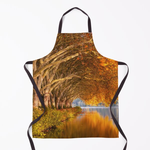 Artikelvorschau, Naturlandschaft, Herbst, Bäume, Wald, Blätter und Fluchtpunkt des Pfades entworfen und verkauft von inurey.