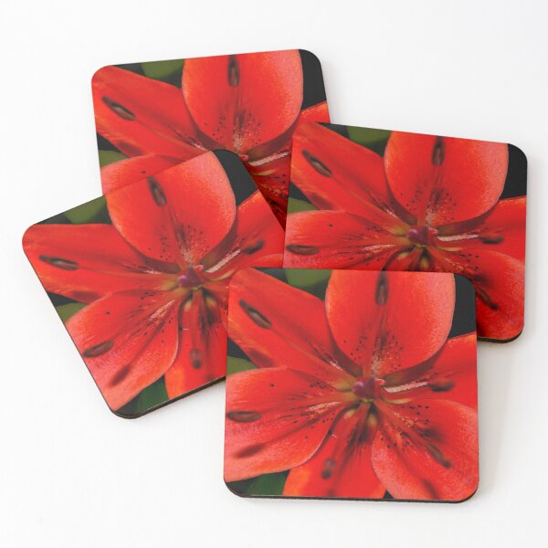 Item preview, Asiatic Lily designed and sold by ptcCreative.