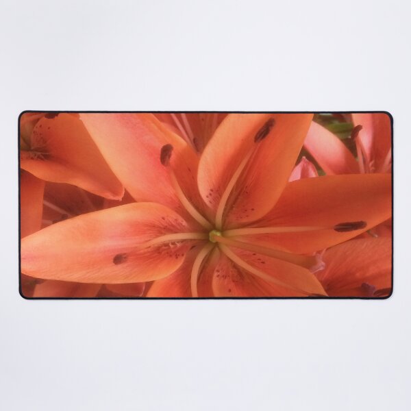 Item preview, Asiatic Lilies designed and sold by ptcCreative.