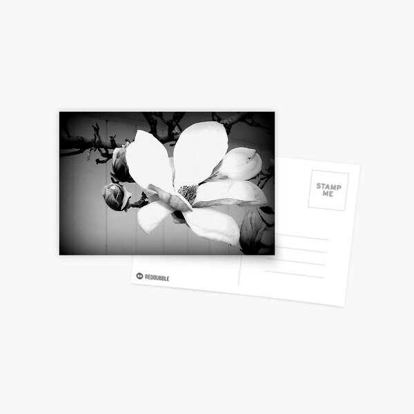 Item preview, Magnolia designed and sold by Oranje.