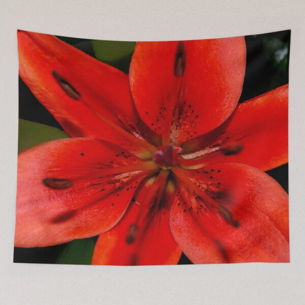 Item preview, Asiatic Lily designed and sold by ptcCreative.