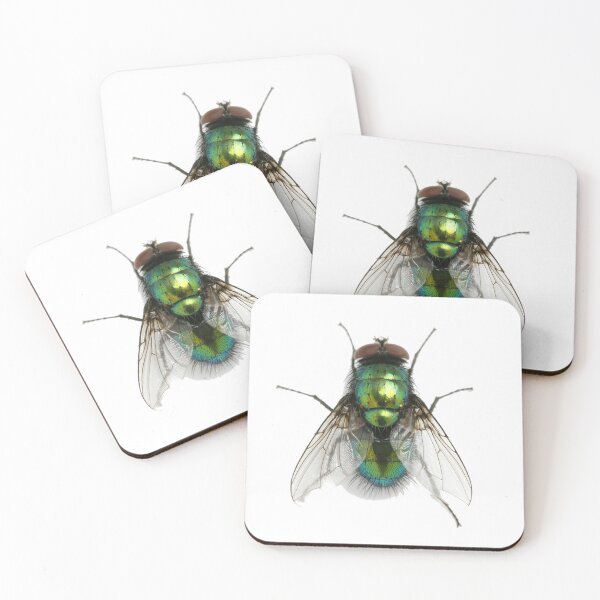 Item preview, FLY designed and sold by MoNKa13.