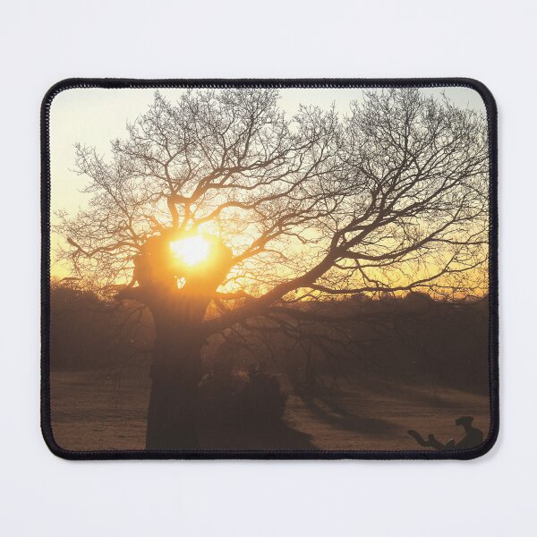 Item preview, Ancient Tree of Life designed and sold by DreamyExposure.