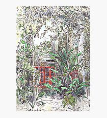 Tumoulin Atelier Photographic Print