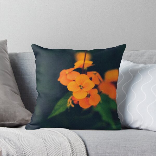 Item preview, Negro, verde y mandarina designed and sold by Phil Bothwell Photography.
