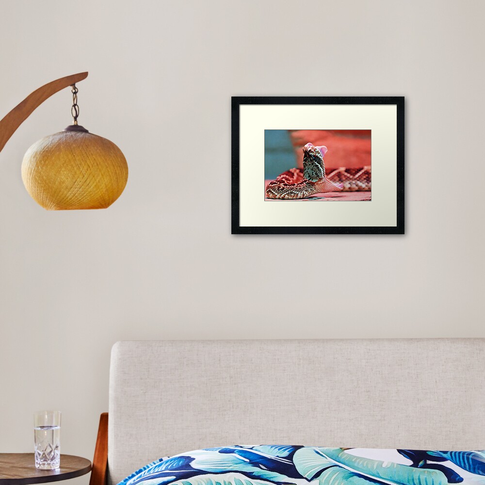 Rattle Snake Framed Art Print