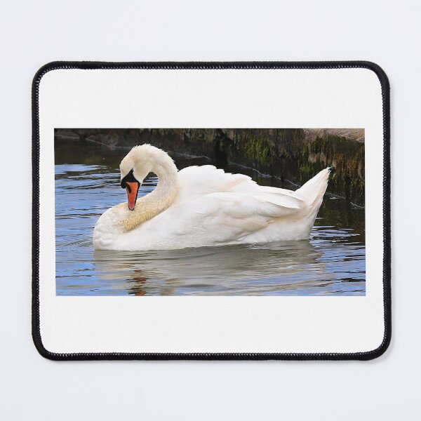 Item preview, Swan  designed and sold by Ribster13.