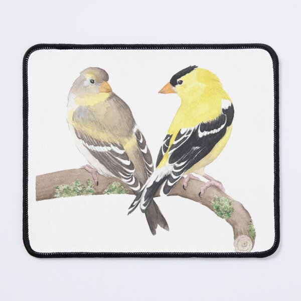 Item preview, American Goldfinches designed and sold by Alexis Rodefer.