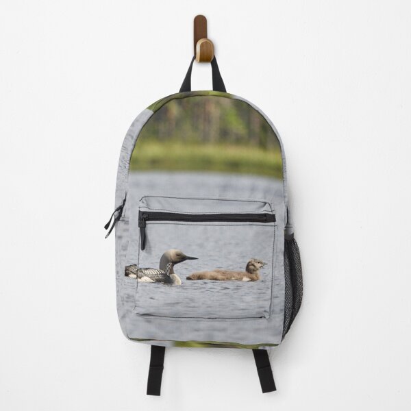 Item preview, Taking care of the young ones. Black-throated loon designed and sold by Jouko Lehto Photography.
