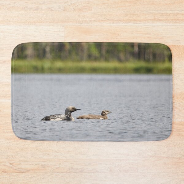Item preview, Taking care of the young ones. Black-throated loon designed and sold by Jouko Lehto Photography.