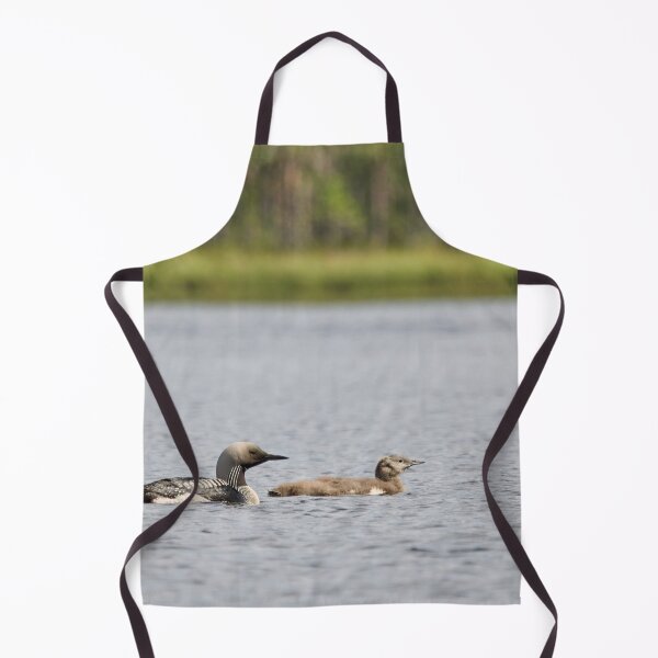 Item preview, Taking care of the young ones. Black-throated loon designed and sold by Jouko Lehto Photography.