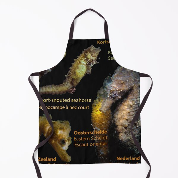 Item preview, Seahorse - Hippocampus hippocampus designed and sold by Tom Sillen.