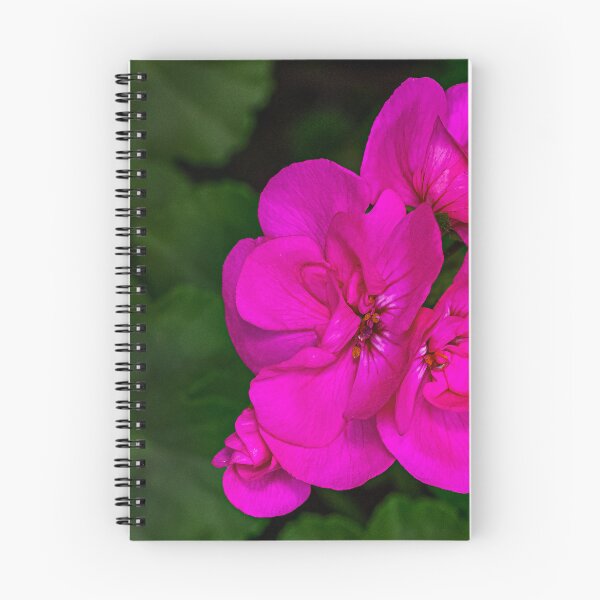 Item preview, Geranium designed and sold by Nobbysphotos.