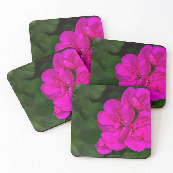 Item preview, Geranium designed and sold by Nobbysphotos.