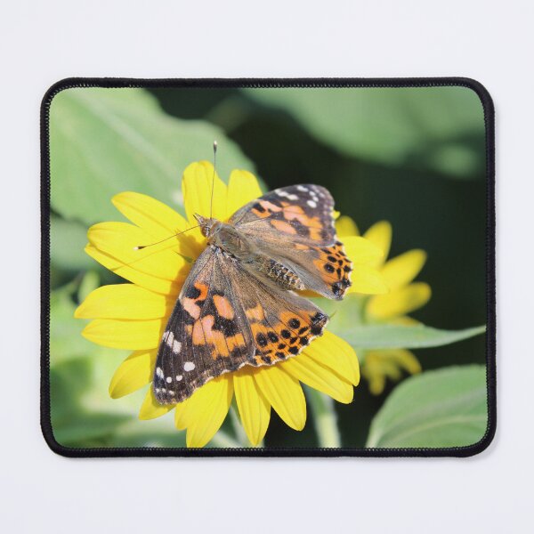 Item preview, painted lady butterfly 2 designed and sold by McFleur's Lens.